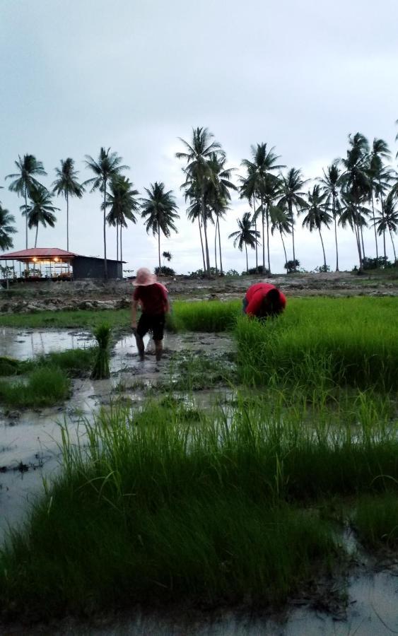 Готель I - Talay Taling Ngam Samui - เขา ป่า นา เล ตลิ่งงาม สมุย Екстер'єр фото