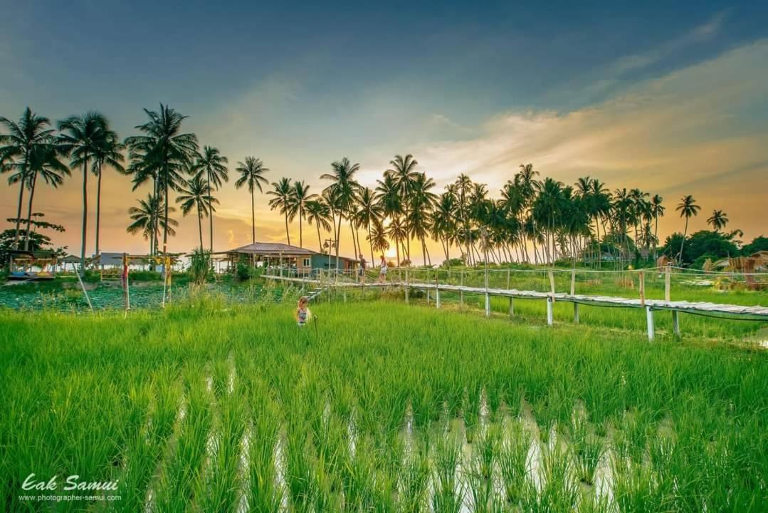 Готель I - Talay Taling Ngam Samui - เขา ป่า นา เล ตลิ่งงาม สมุย Екстер'єр фото