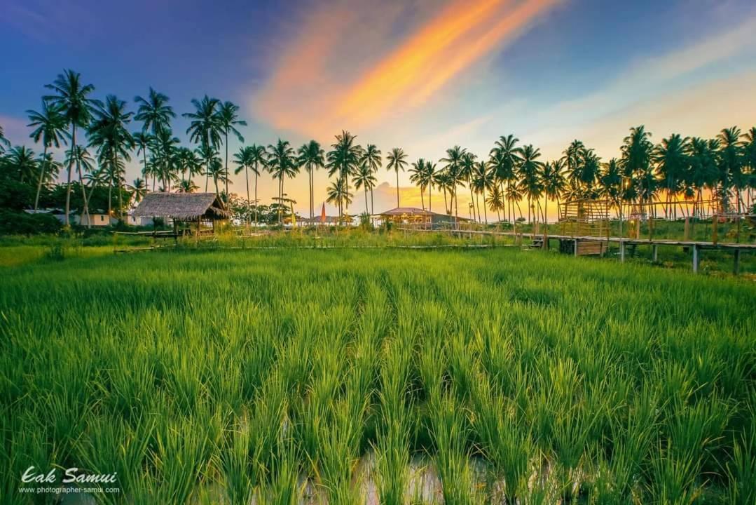 Готель I - Talay Taling Ngam Samui - เขา ป่า นา เล ตลิ่งงาม สมุย Екстер'єр фото